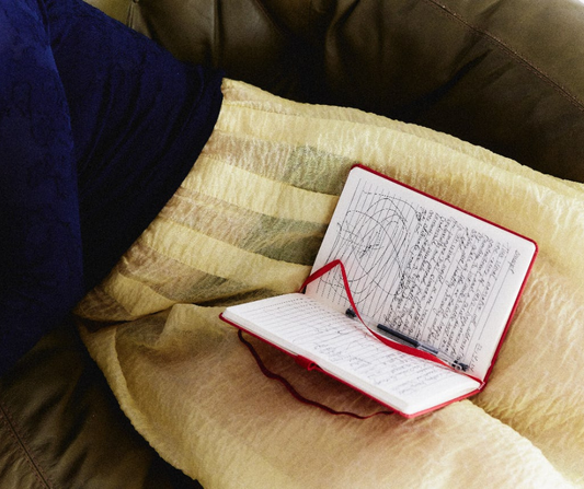 Open diary with pen on a cushioned sofa