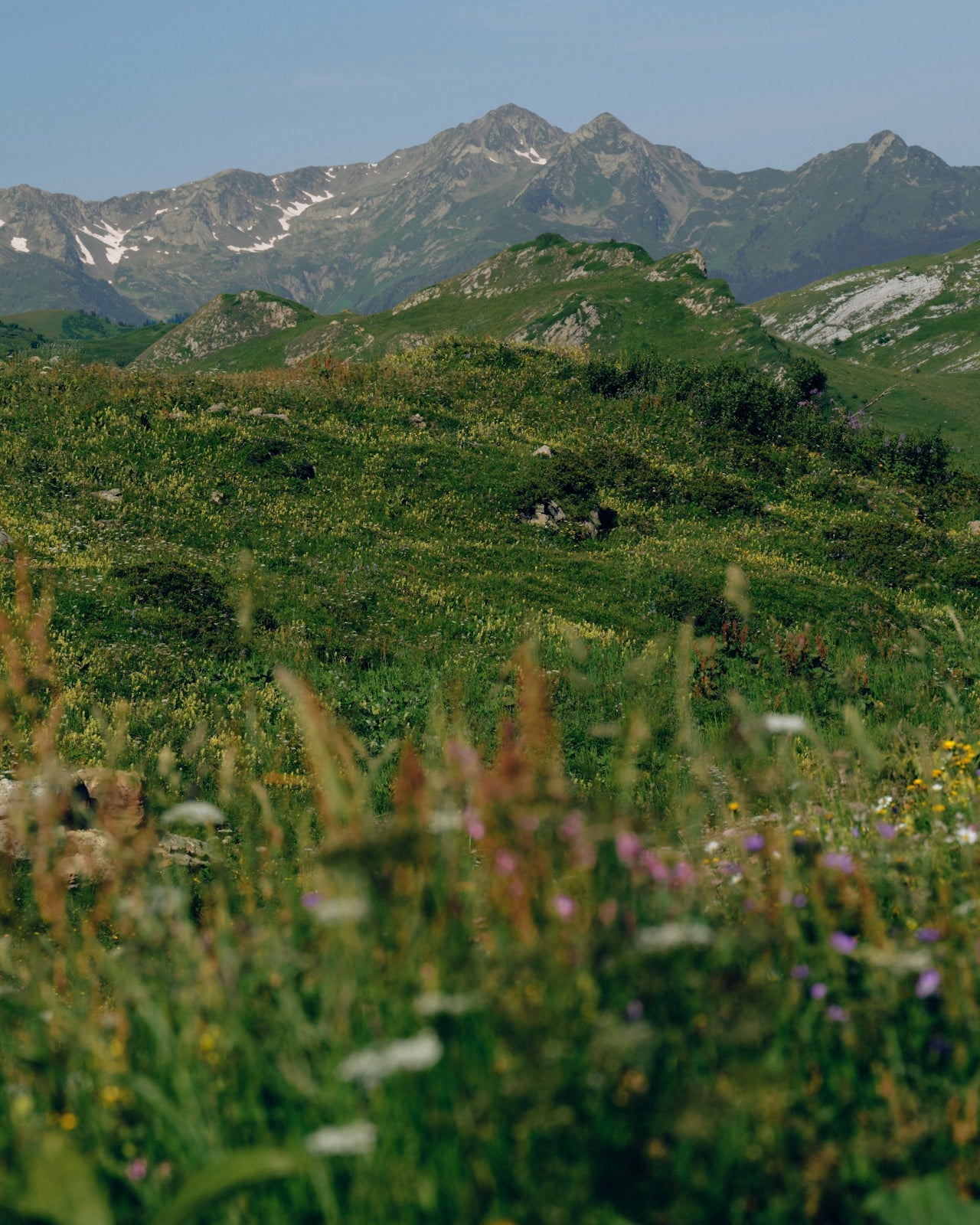 Mountain landscape with greenery and distant peaks under a clear sky